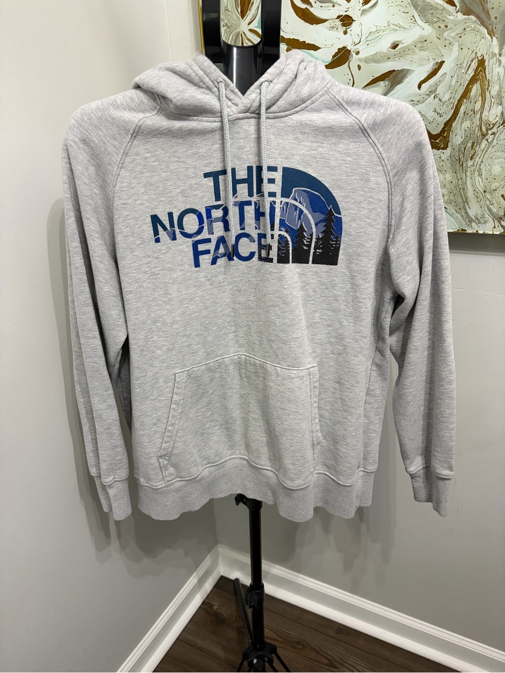 The North Face Light Gray Hoodie with Blue Logo